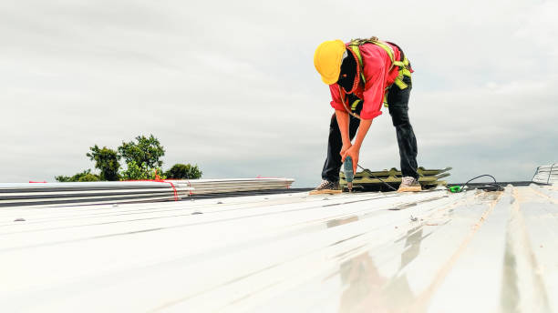 Best Skylights  in Shenandoah, PA